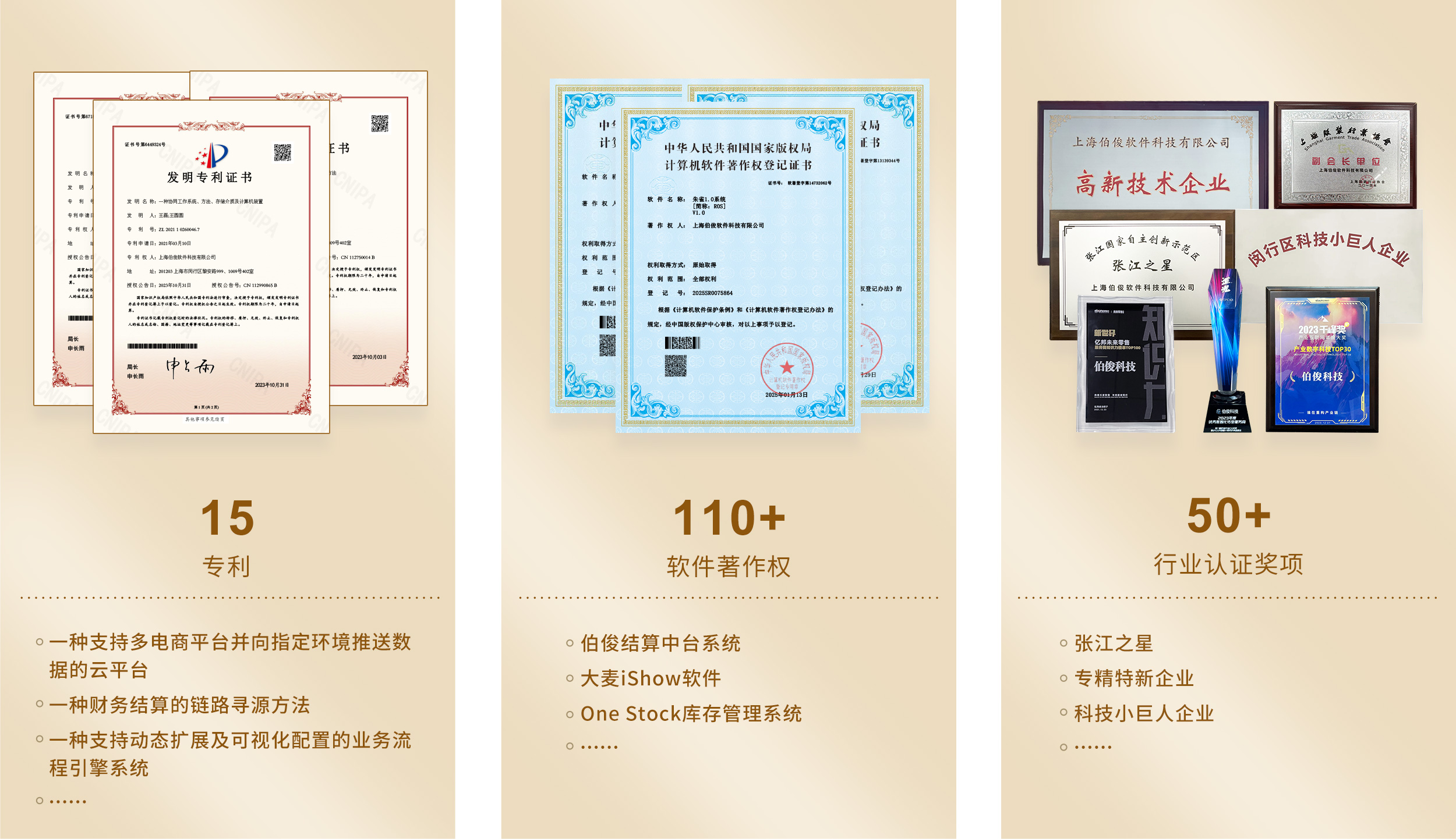 15项专利，110+软件著述权
