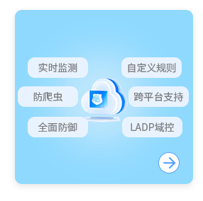 实时监测、防爬虫，系统安全，等保