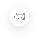 sw_ico10