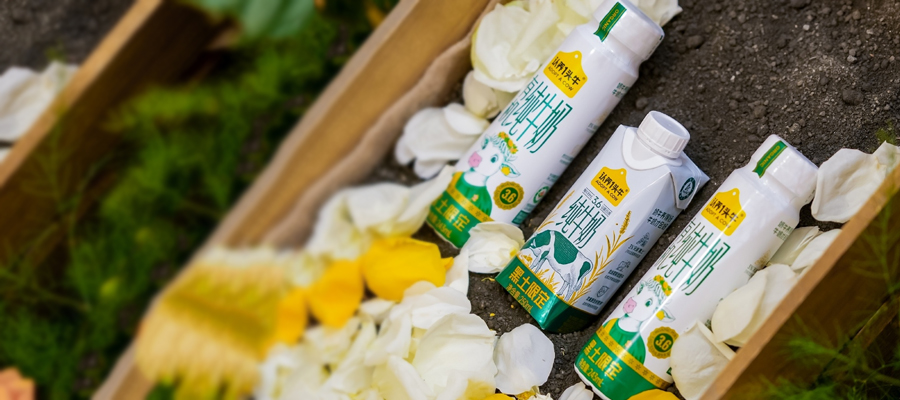 Adopt A Cow operates its own farms and supply chain, offering quality-controlled milk and yogurt.